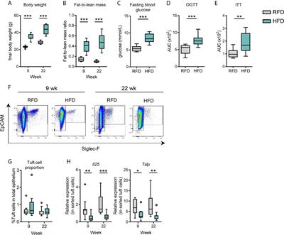 Small Intestinal Tuft Cell Activity Associates With Energy Metabolism in Diet-Induced Obesity